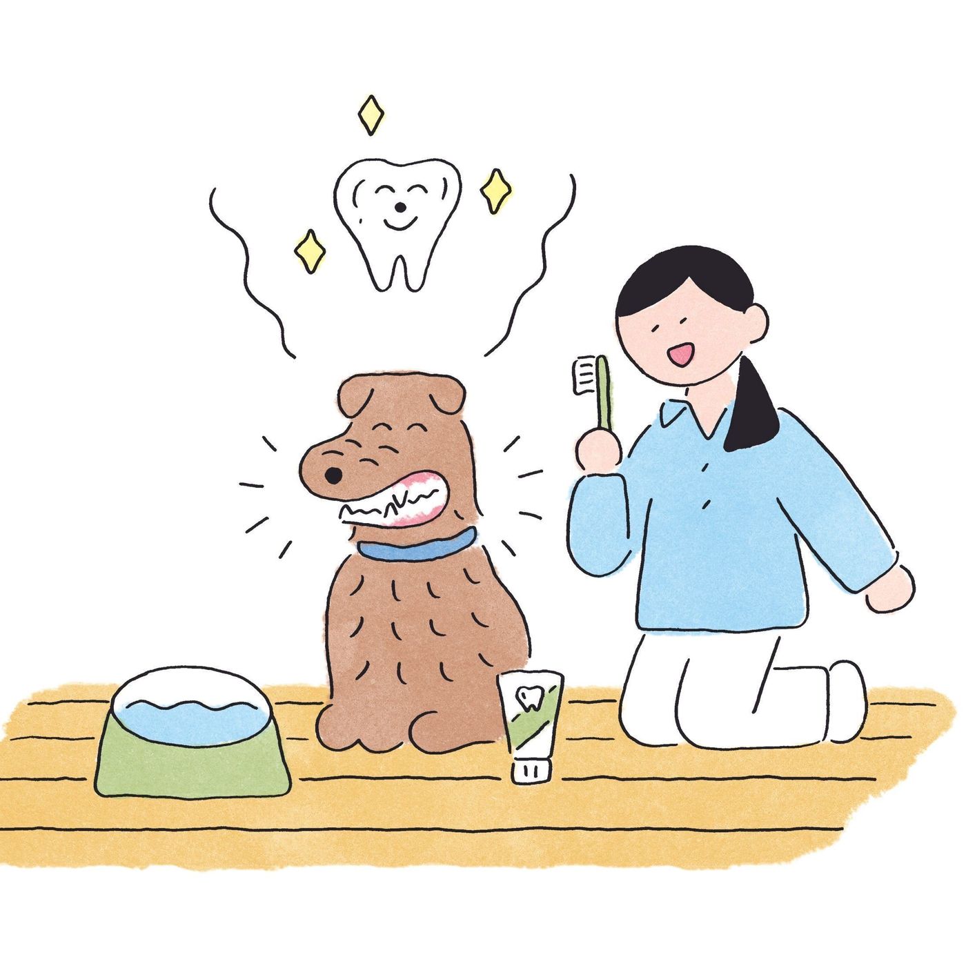 犬の3才の約80 が歯周病 最新オーラルケア事情とは いぬのきもちweb Magazine 犬の3才の約80 が歯周病 最新オーラルケア事情とは いぬのきもちweb Magazine