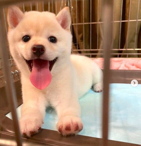 笑顔のモチ代さん