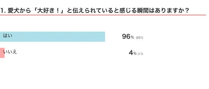 愛犬から「大好き!」と伝えられていると感じる瞬間はある?