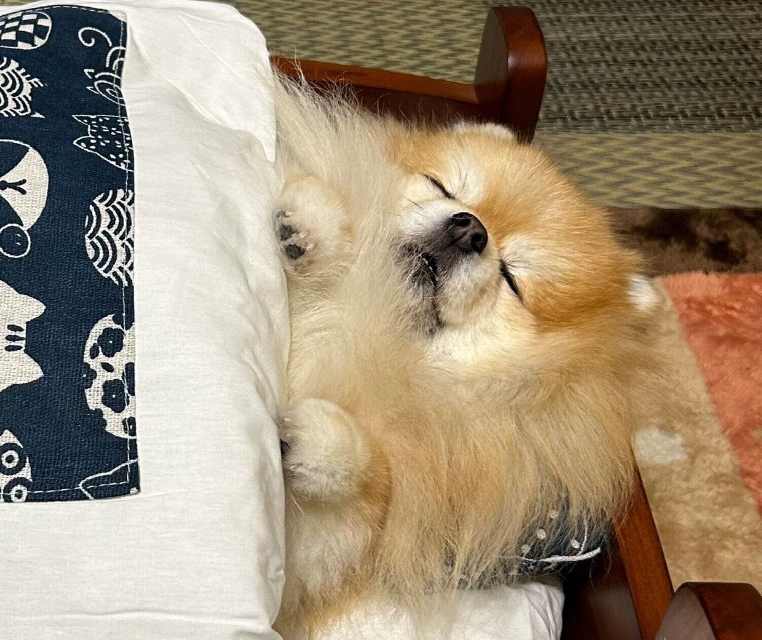 布団をかけて眠るいぶきちゃん