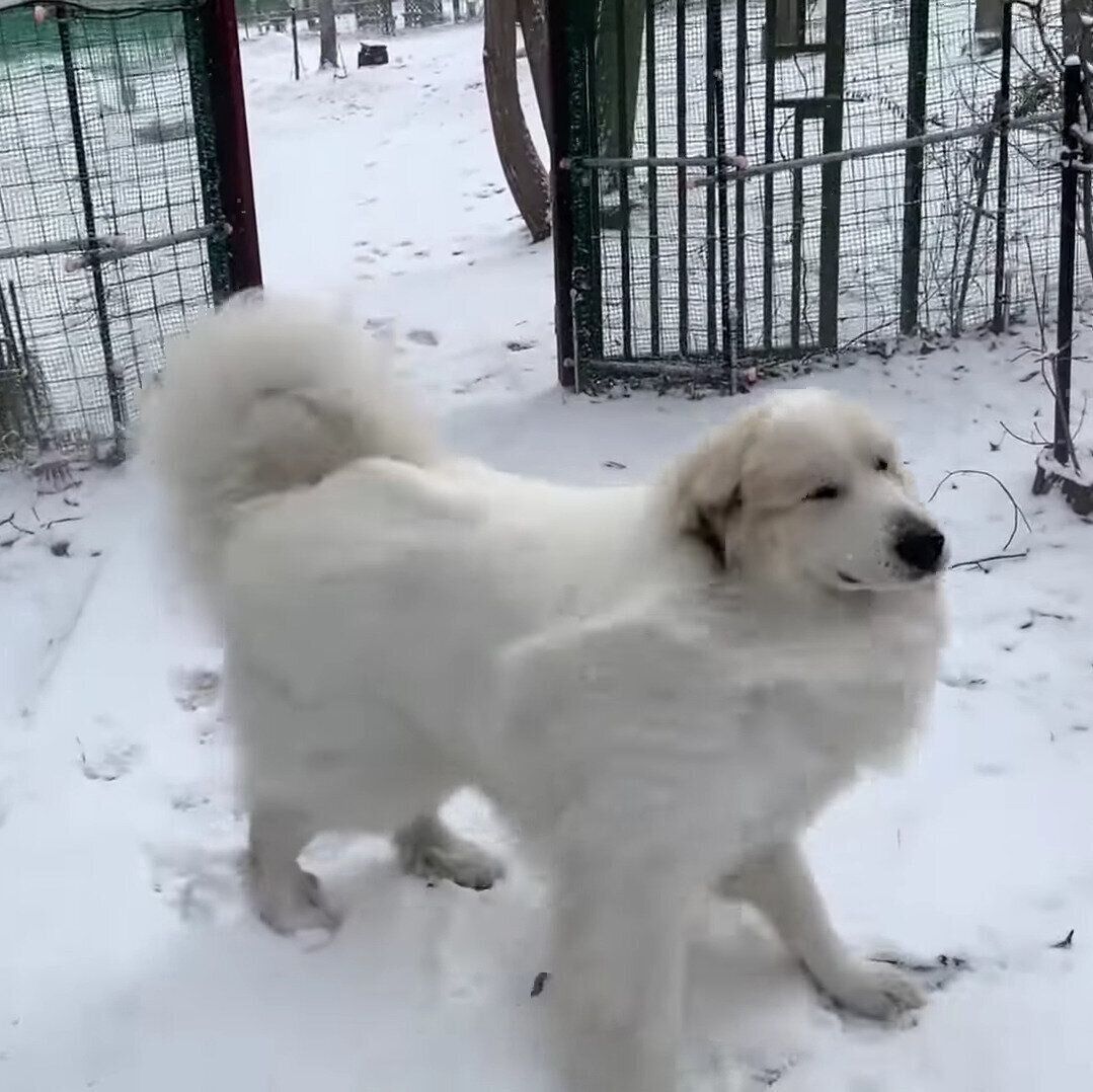 ブロアーで遊ぶアランくん