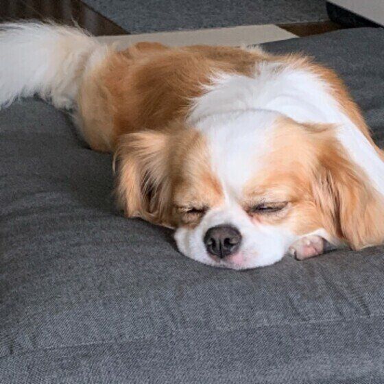 眠るエソラちゃん