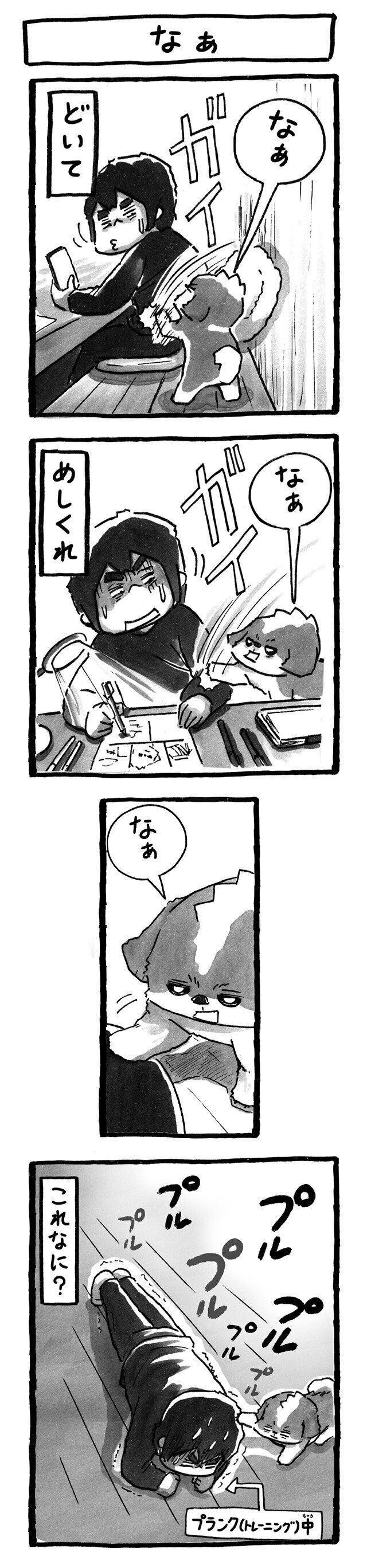 シーズー犬マンガてんぽshihtzu