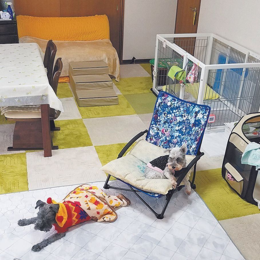 写真提供／Y.Y.さん