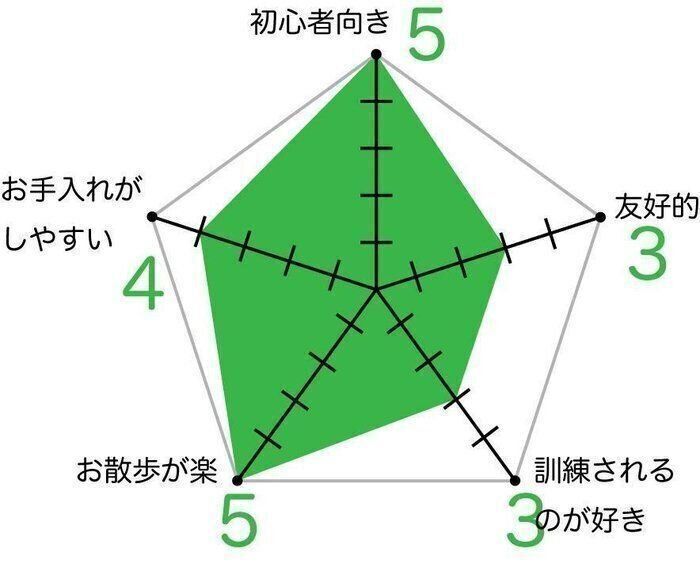 チワワ　チャート