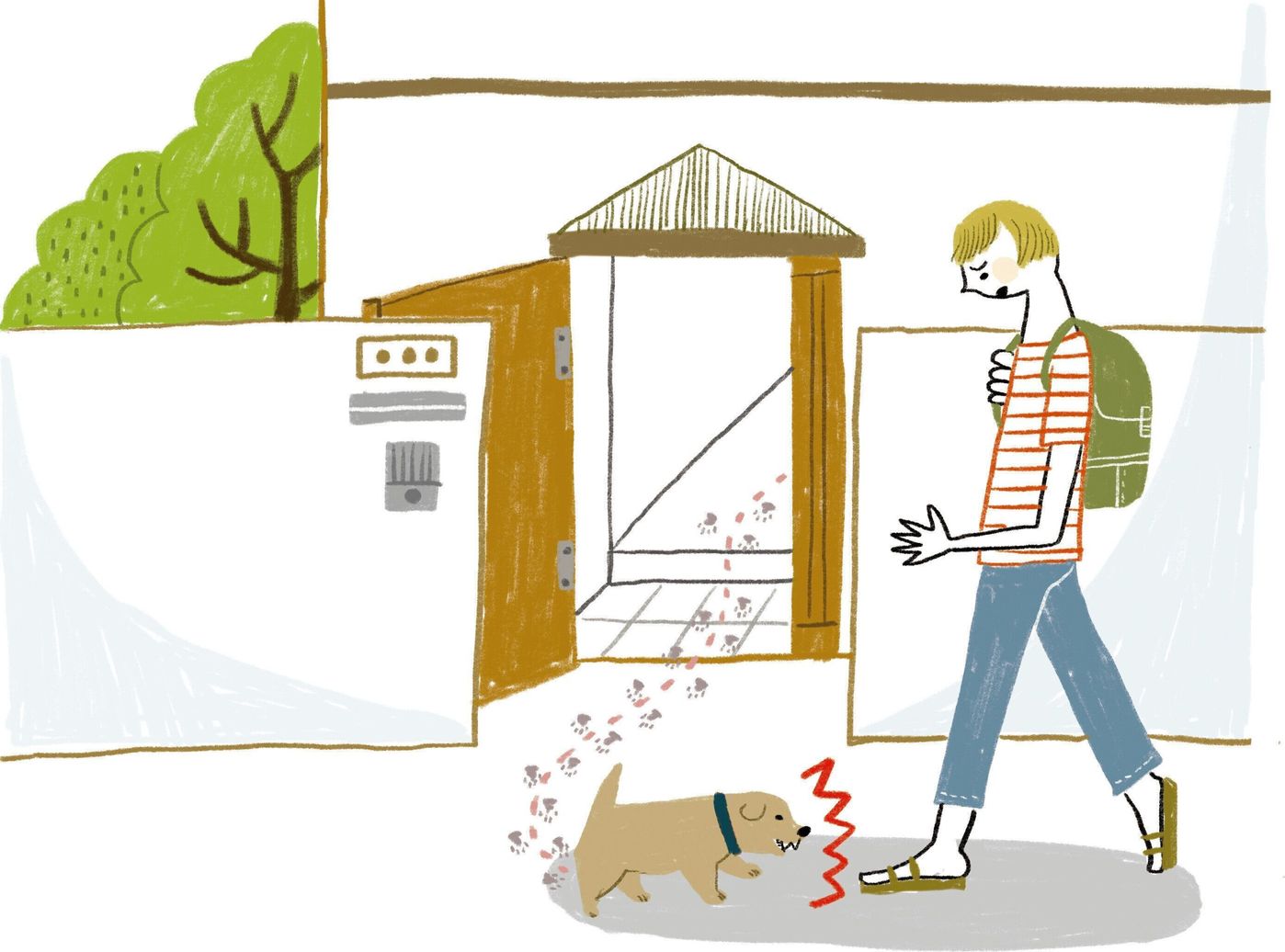 玄関から飛び出した愛犬が 通行人を噛んでしまった 裁判の行方は いぬのきもちweb Magazine 玄関から飛び出した愛犬が 通行人を噛んでしまった 裁判の行方は いぬのきもちweb Magazine