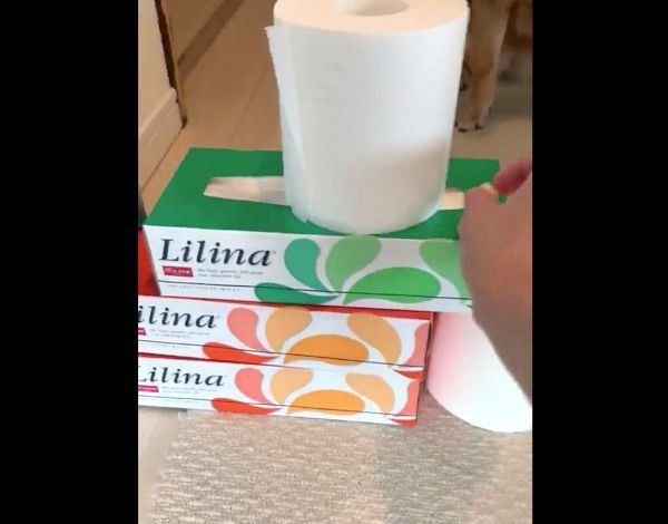 頑なに「トイレットペーパーチャレンジ」をしない花ちゃん