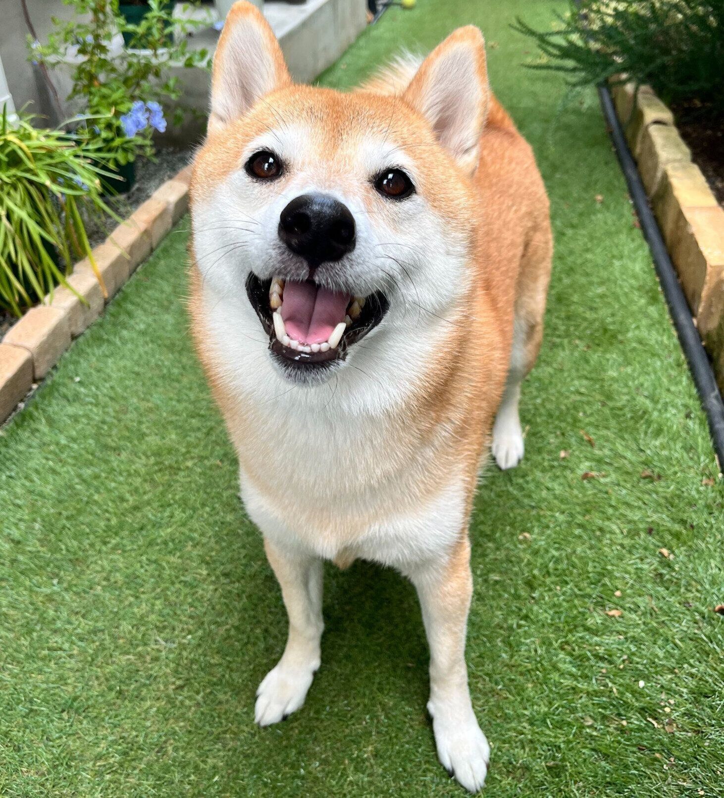 笑顔が可愛いおとちゃん