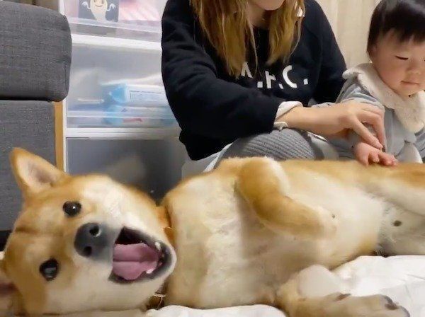 撫で加減をチェックするりんご郎くん