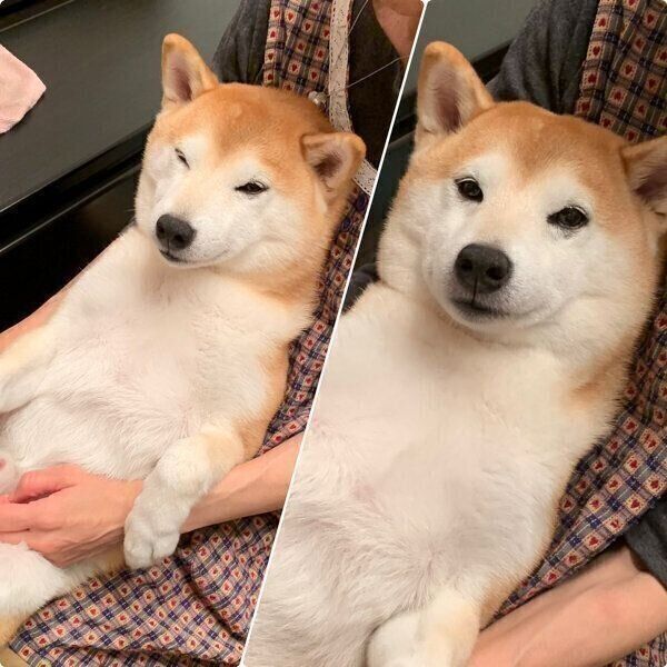 足ふき中のこたろうくん