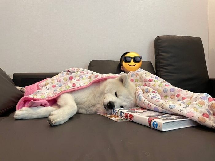 息子さんとまったりする凛太郎くん