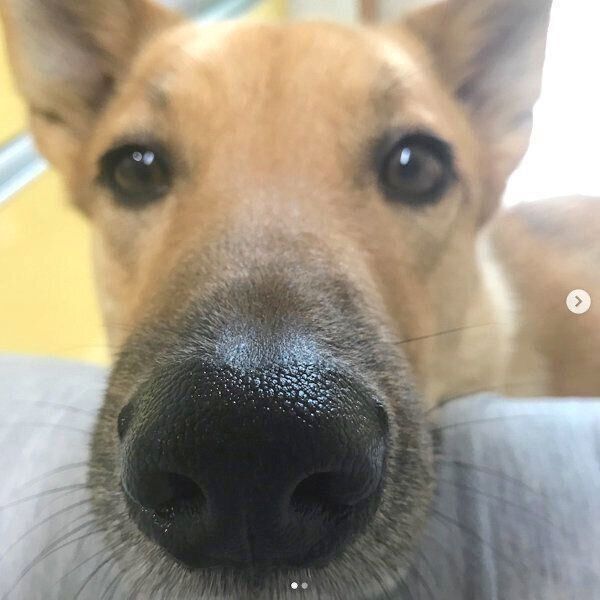 見つめるこたろうくん