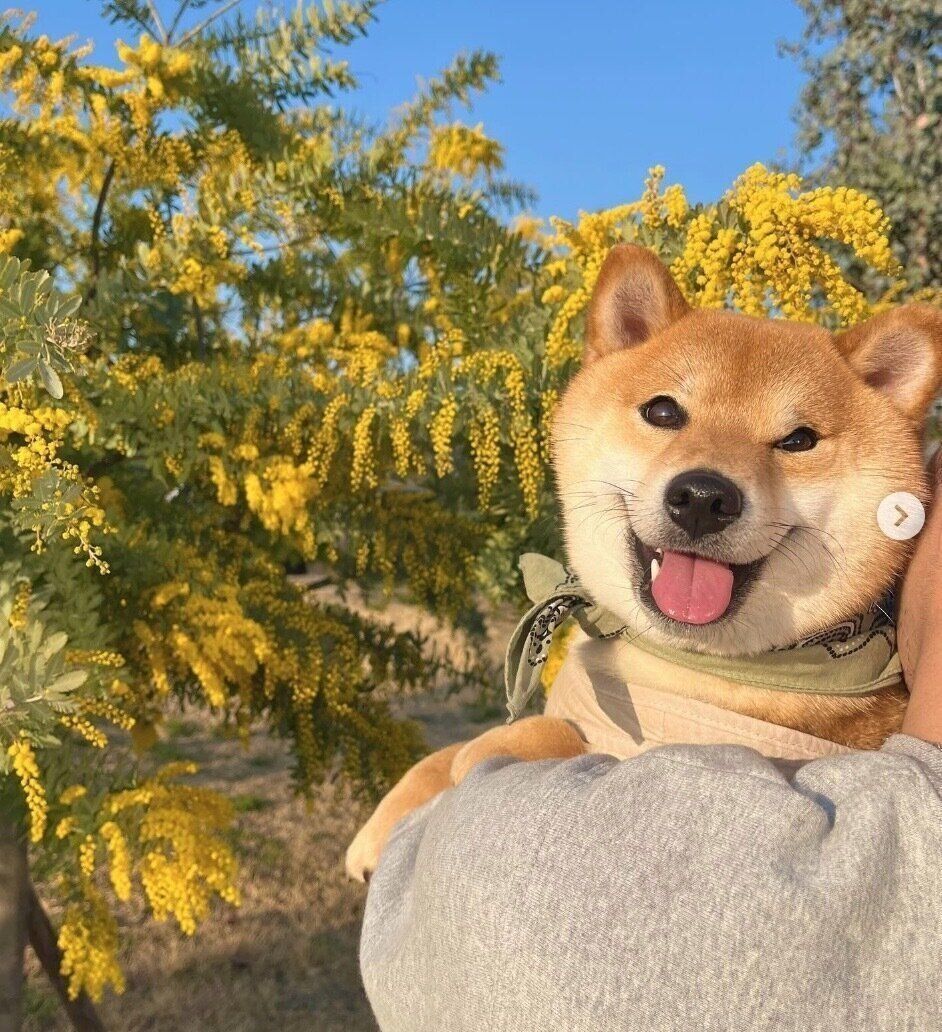 楽しそうなうにちゃん