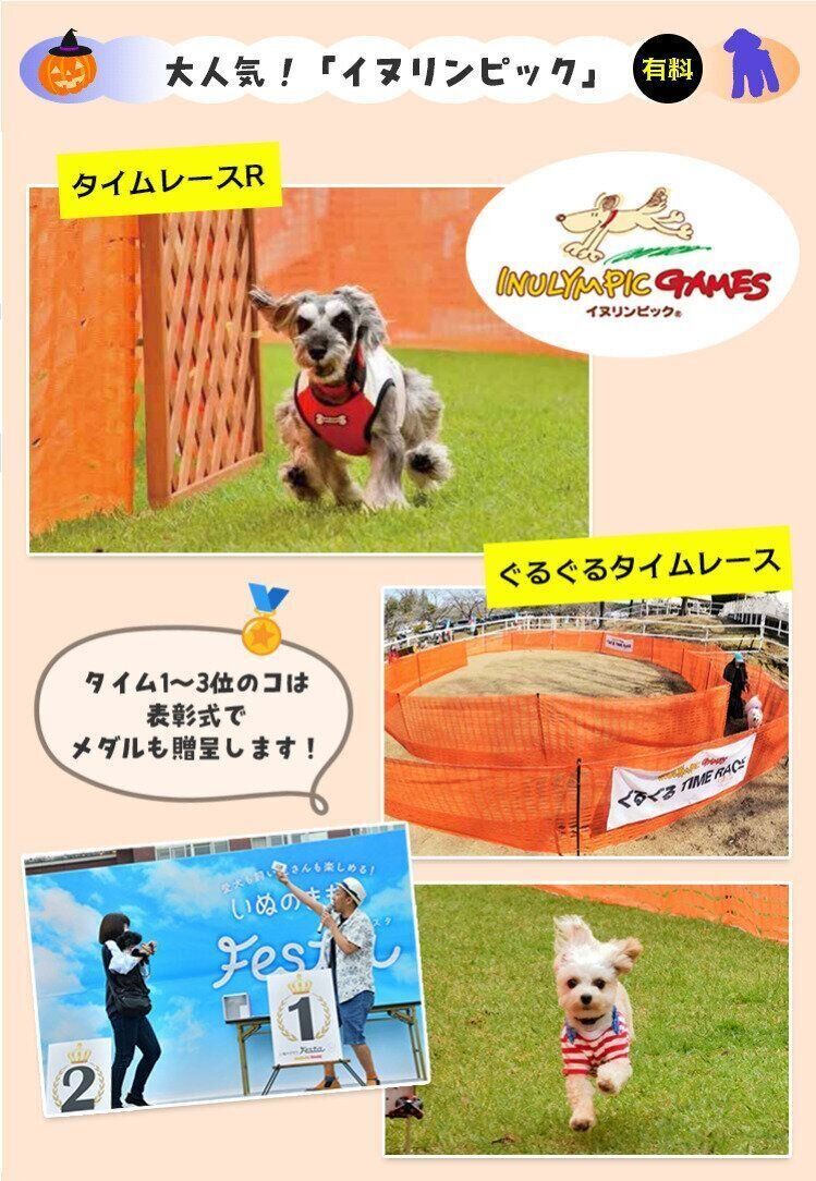 イヌリンピック