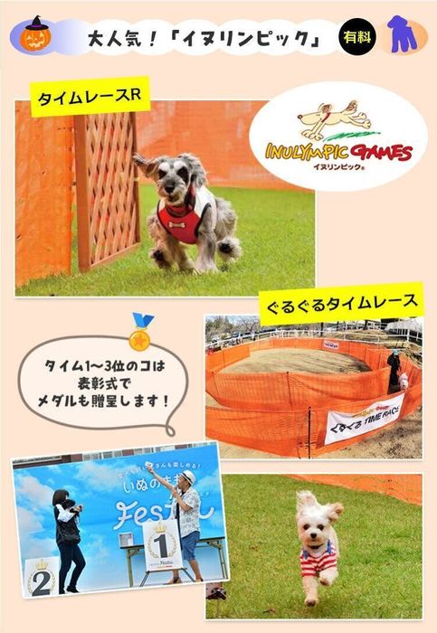 イヌリンピック