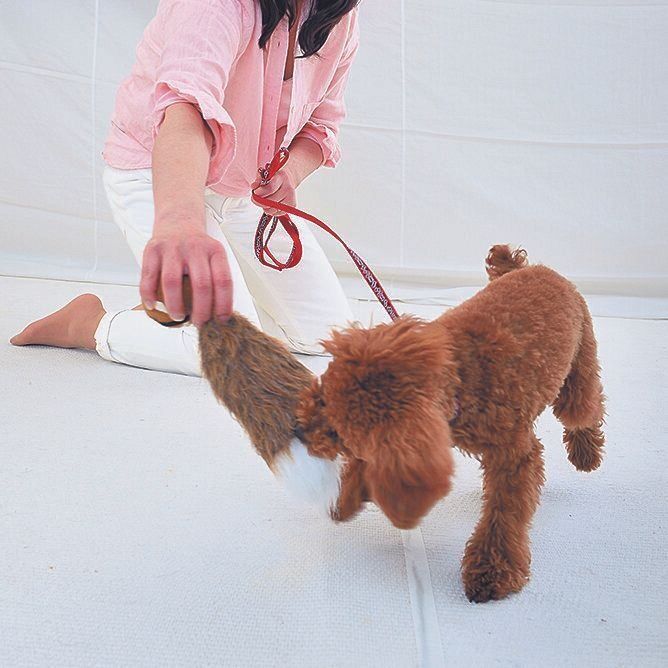 撮影／佐藤正之