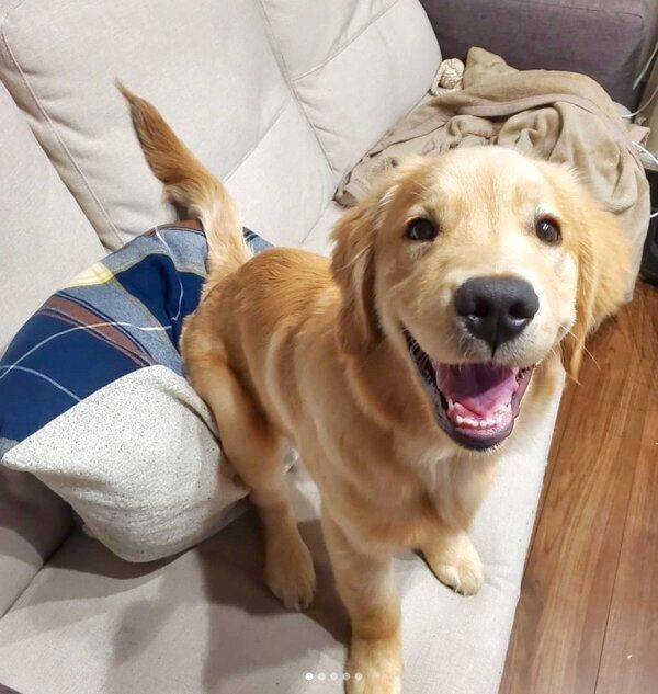 笑顔のそらちゃん