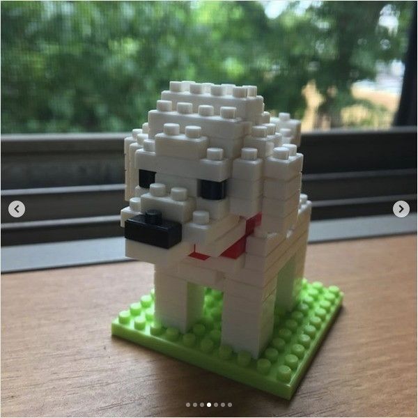 ワンコのプチブロック