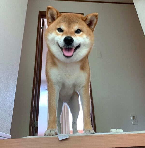 笑顔の銀次くん