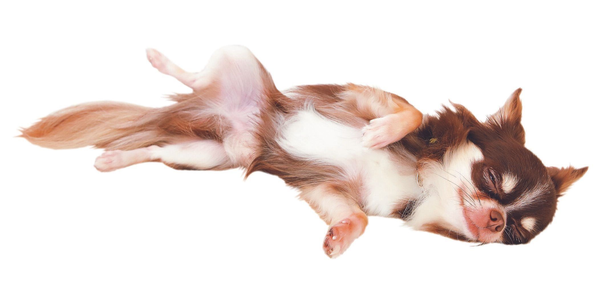 全身の力が抜けて寝転がるのは「喜」の感情の場合も