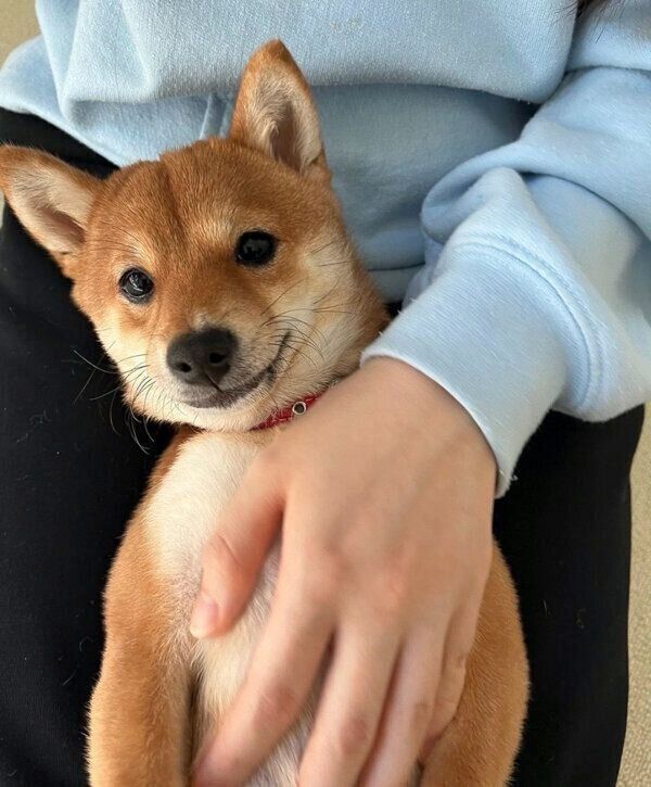 まったりするこうめちゃん