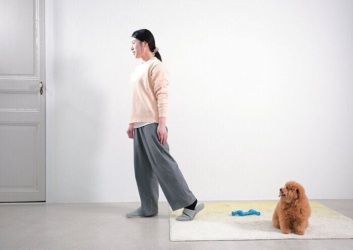 チャイムの対応をする飼い主を見る愛犬