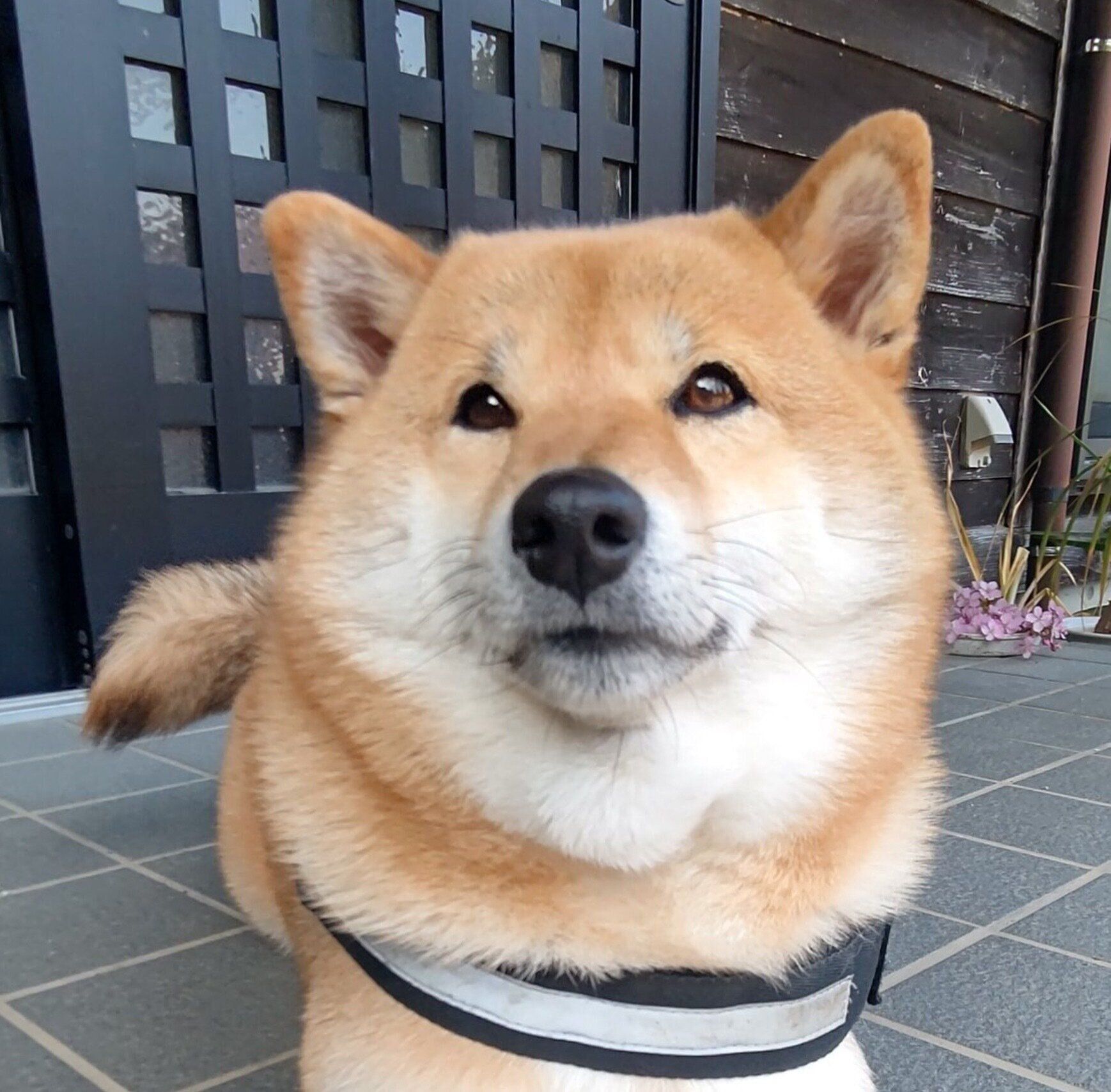 uエu)様専用