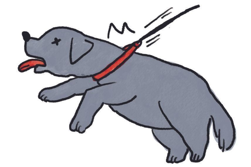 イラスト／SORRY.