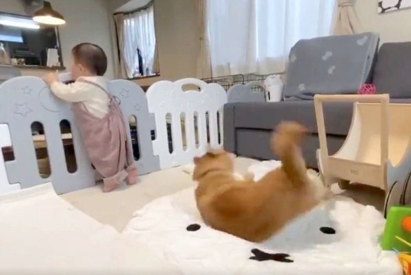 ビクッ！と飛び起きるりんご郎くん