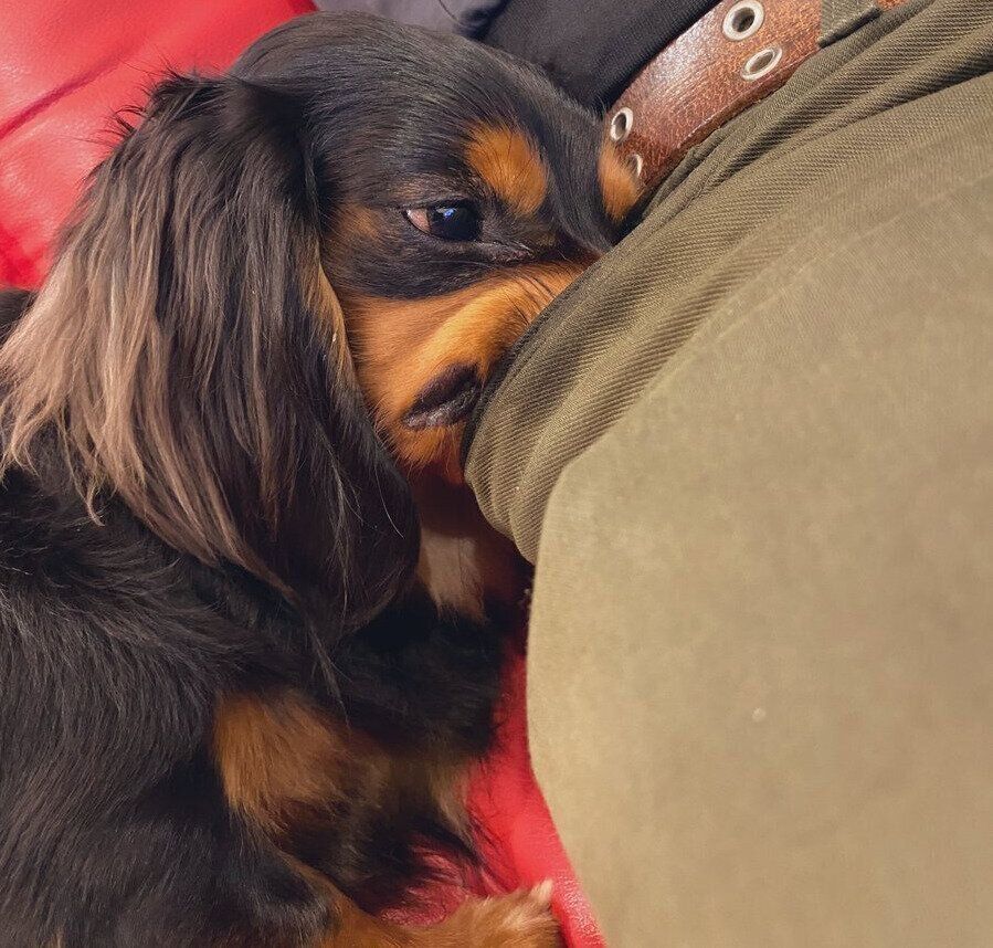 別の日もポケットに鼻を入れるみらいくん