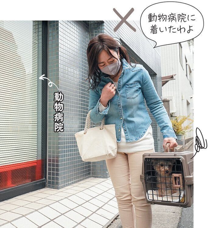 動物病院に連れていかれる犬