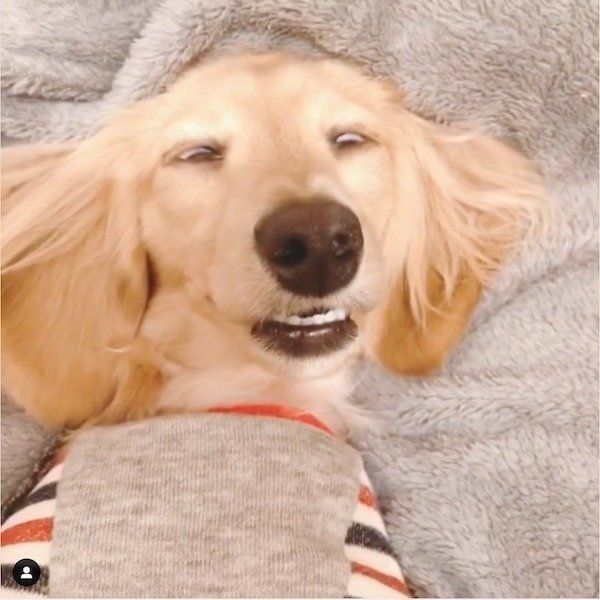 起きてるか寝てるかわからないアムちゃん