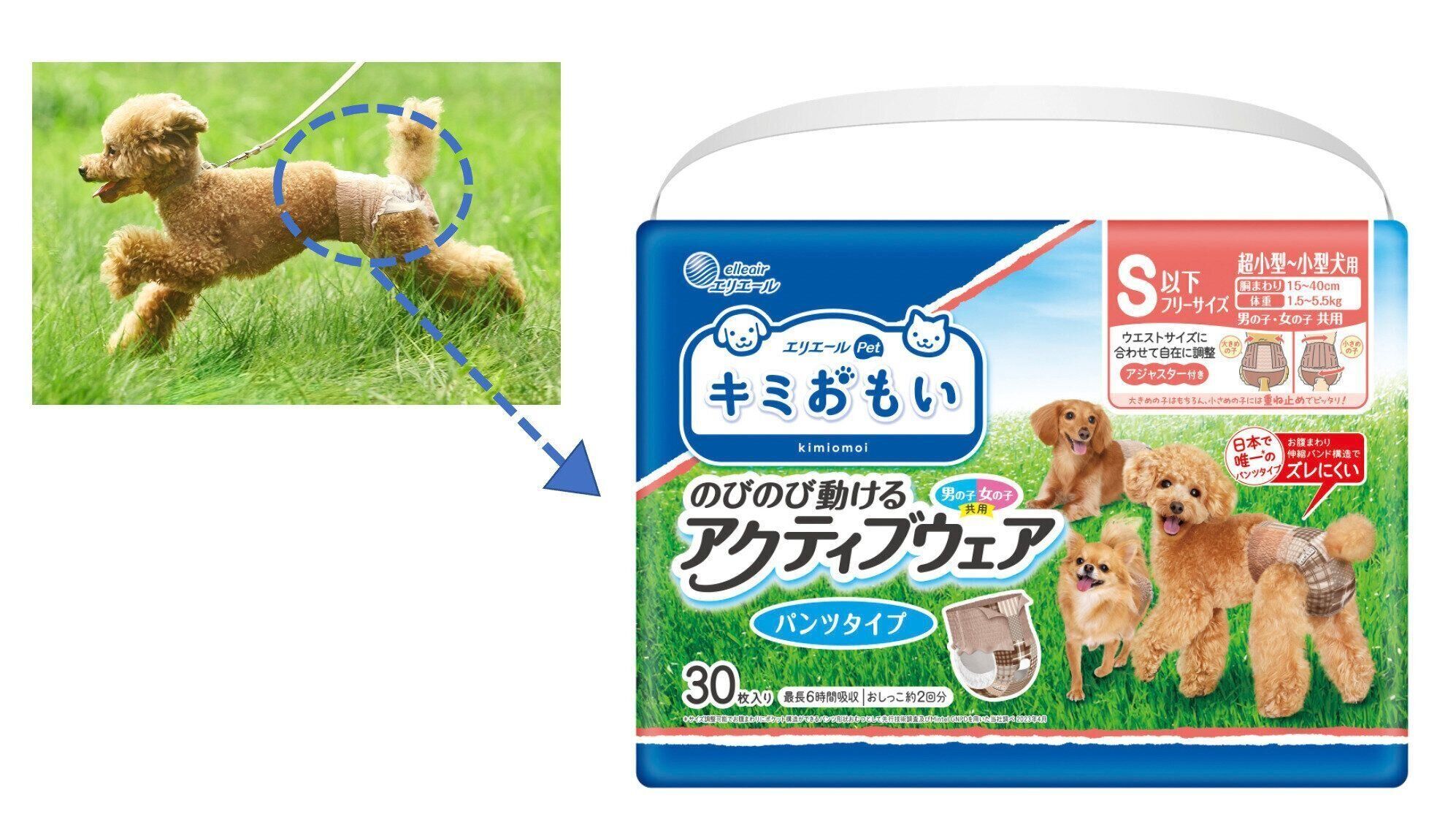 エリエールペット キミおもい アクティブウェア 犬のおむつ