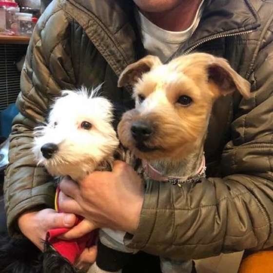 近所の居酒屋さんで