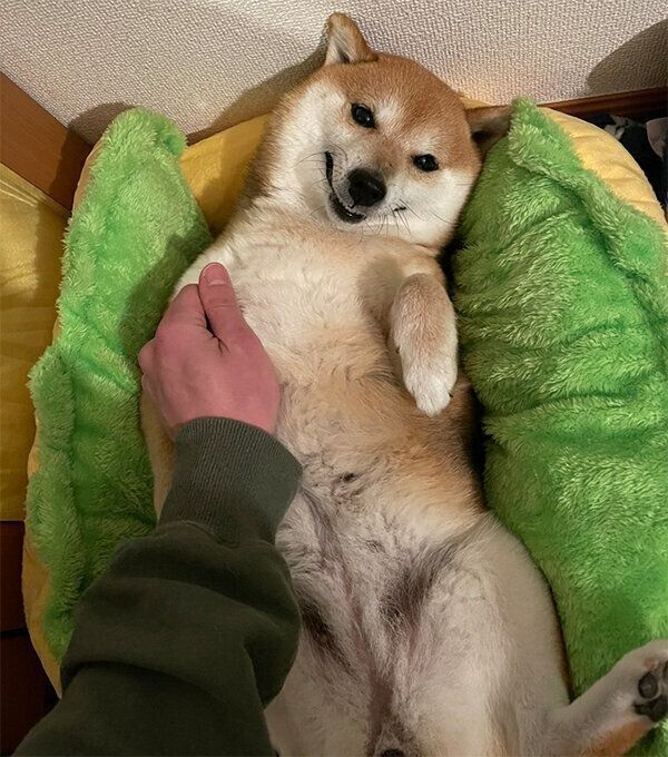 にっこり笑うクリ丸ちゃん