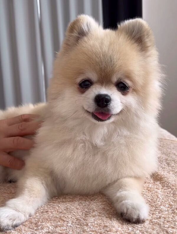 嬉しそうなみくちゃん