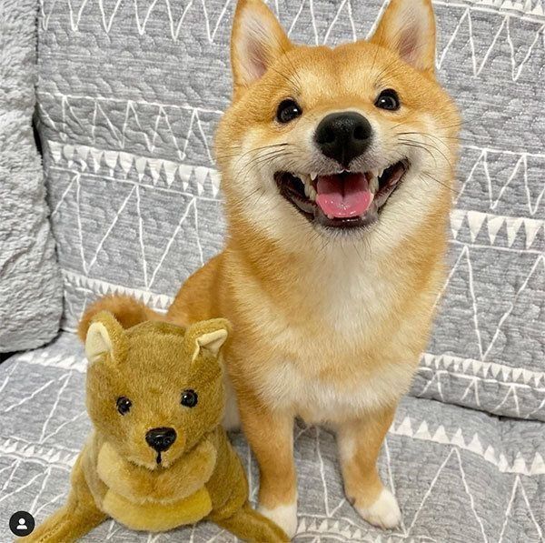 微笑むうにくん