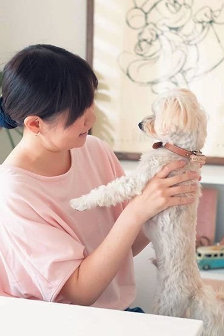 つっぱり棒の活用も 犬も人も気持ちがいい簡単インテリアアイデア いぬのきもちweb Magazine つっぱり棒の活用も 犬も人も気持ちがいい簡単インテリアアイデア いぬのきもちweb Magazine