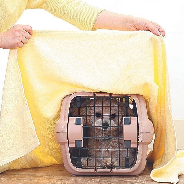 撮影／尾﨑たまき