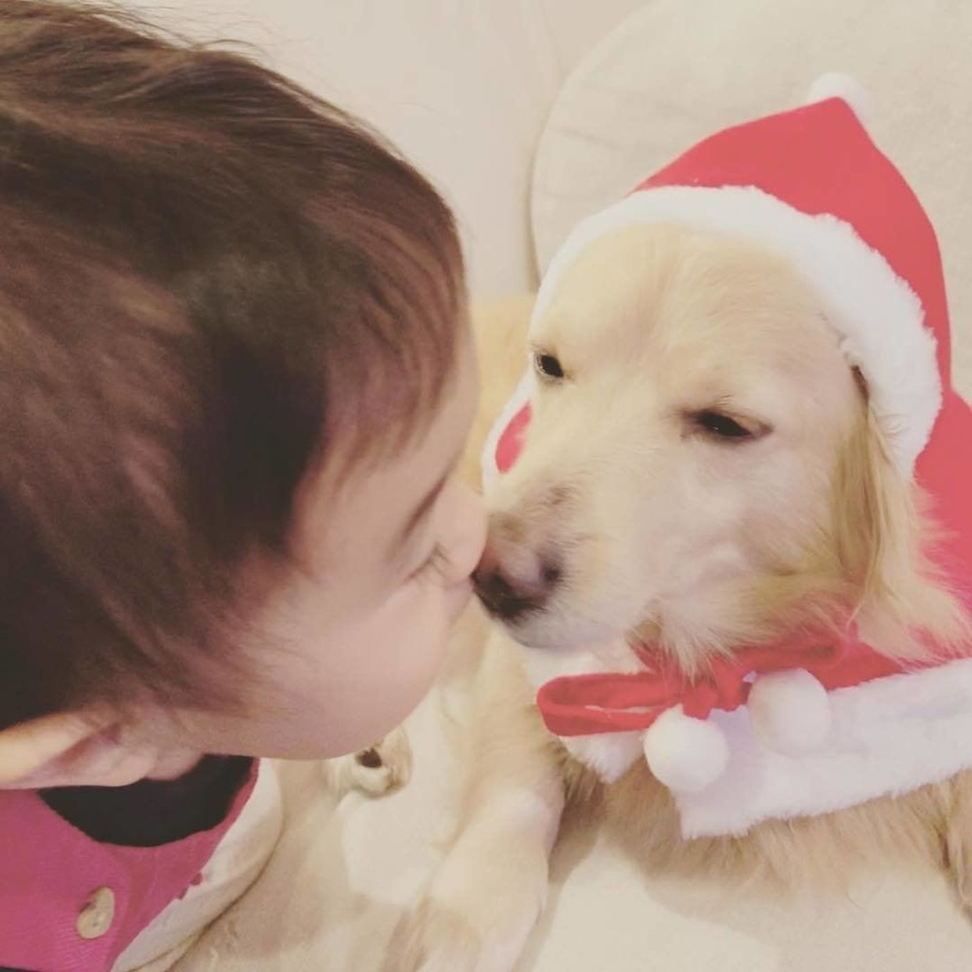 かわいい 犬と赤ちゃん 犬が赤ちゃんに優しい理由 いぬのきもちweb Magazine かわいい 犬と赤ちゃん 犬が赤ちゃんに優しい理由 いぬのきもちweb Magazine