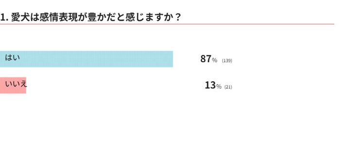 愛犬は感情表現が豊か?
