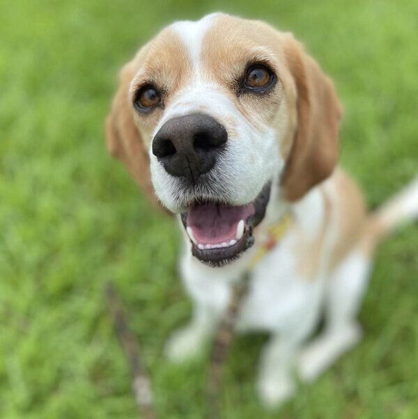 笑顔が可愛いウィルくん