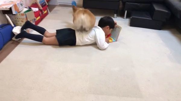 マイクの順番が回ってこないコーギー