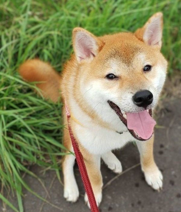 楽しそうなデクくん