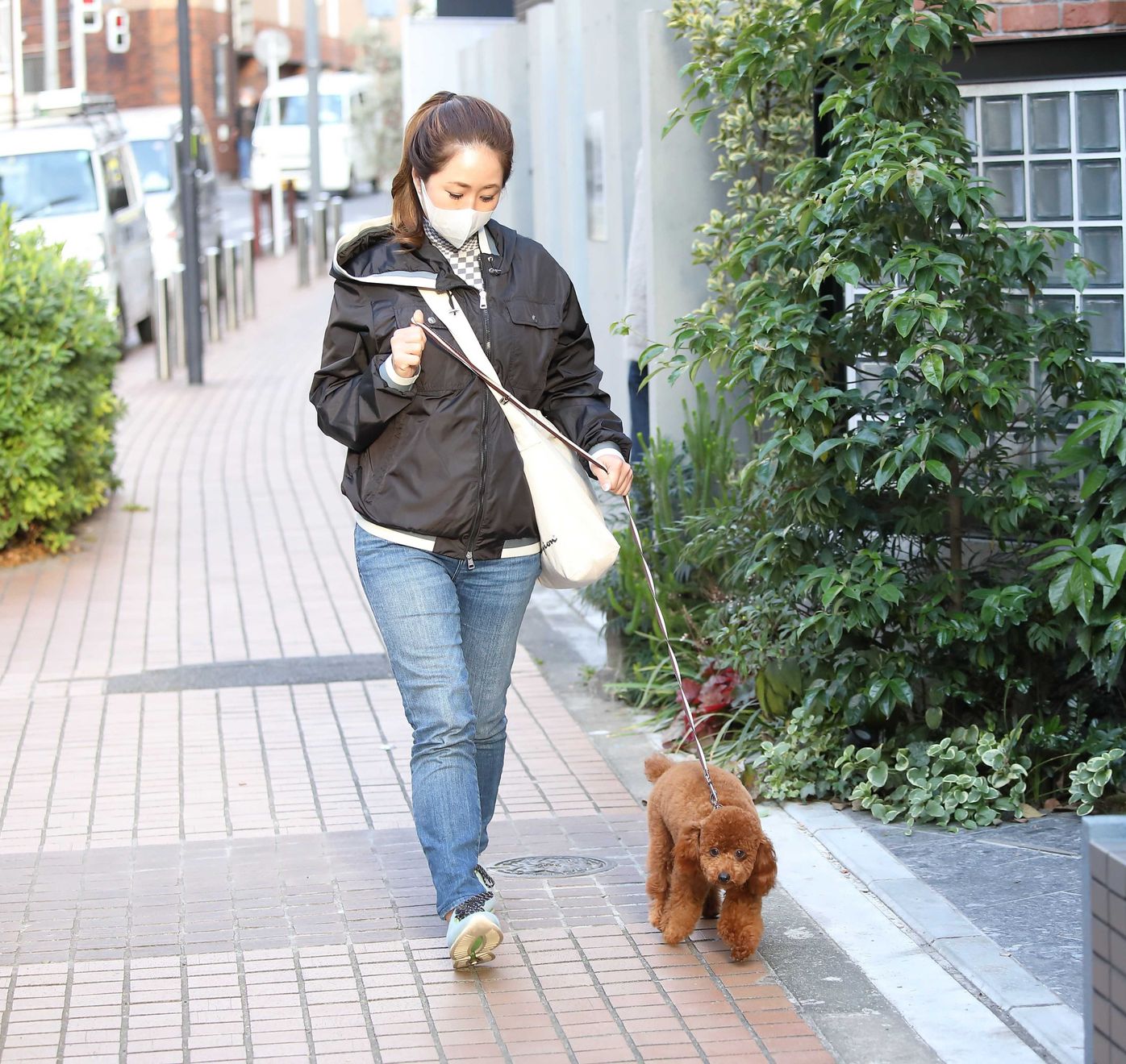 散歩中 愛犬が人や犬にワンワン吠えて困っている そんなとき どうすればいい いぬのきもちweb Magazine 散歩中 愛犬が人や犬にワンワン吠えて困っている そんなとき どうすればいい いぬのきもちweb Magazine