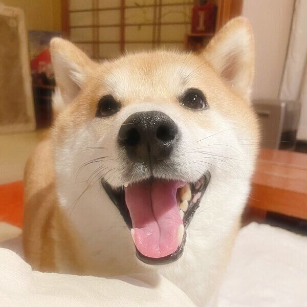 笑顔の栗太郎くん