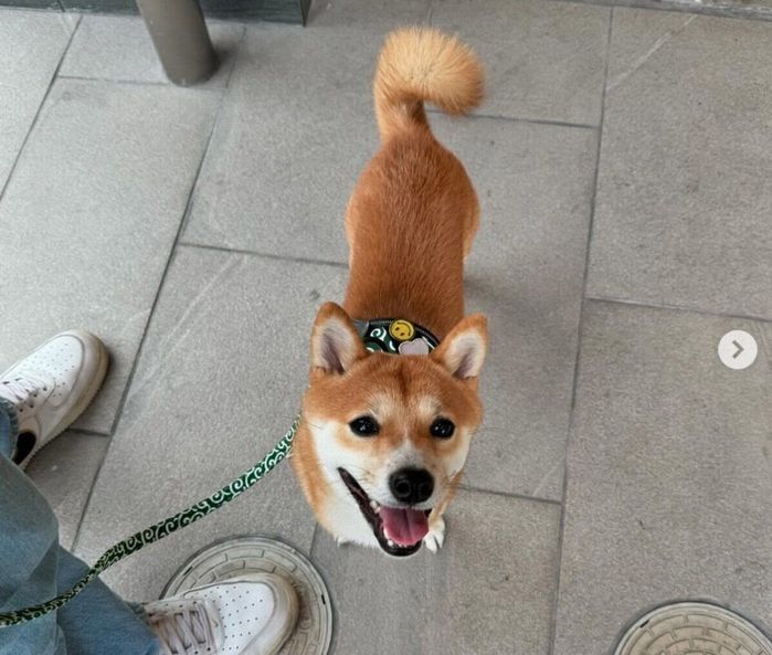 笑顔が可愛いこまくん