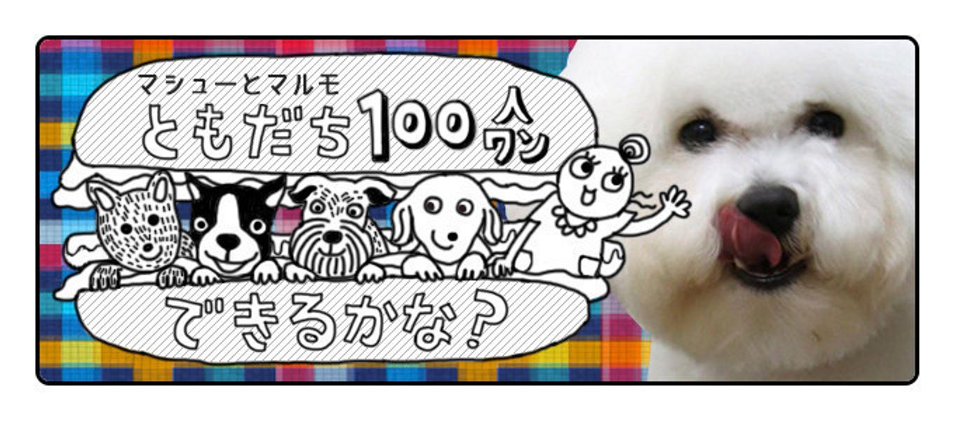 オレちゃんリュックが大好き マシューとマルモともだち100わんできるかな いぬのきもちweb Magazine オレちゃんリュックが大好き マシューとマルモともだち100わんできるかな いぬのきもちweb Magazine