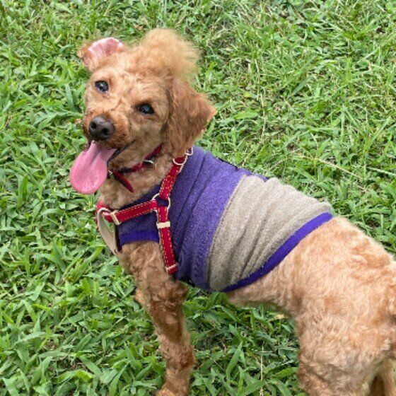 幸せそうなりゅうちゃん