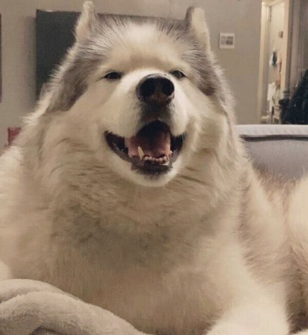 笑顔のフィスくん